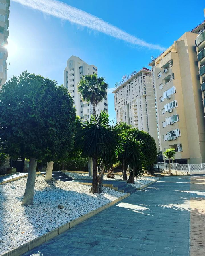 Magic Studio With Swimming Pool Benidorm Exteriér fotografie